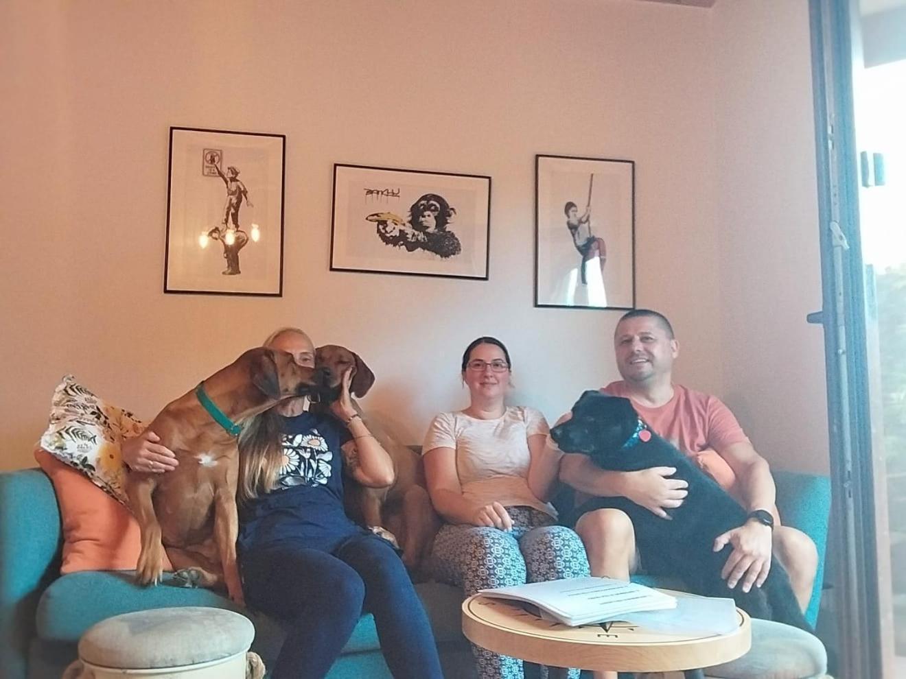 פוגורזליצה Dogs Welcome! Domek Na Zacisznej מראה חיצוני תמונה